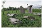Today, a private vegetable garden is located on the Old Jewish cemetery of Monastyryska. Several tombstones still remain in the middle of the vegetable plot.   ©Guillaume Ribot/Yahad - In Unum